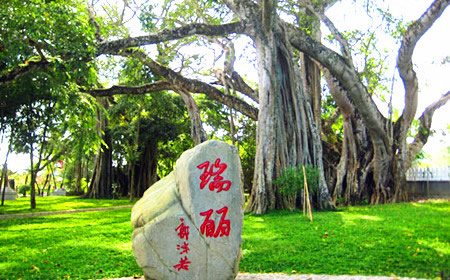 昆明、石林、九乡三日游